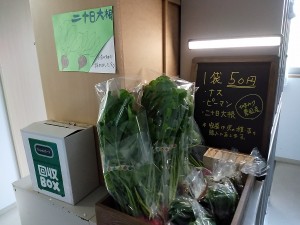 ひまわり農園産野菜の販売（入居）