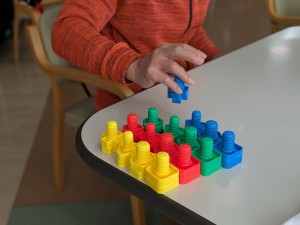 PXL_20250111_044312992.PORTRAIT