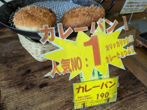 PXL_20250522_023537511