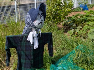 PXL_20250722_055901209.PORTRAIT