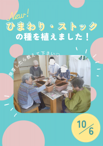 2025.10.6【ポスター】ひまわり・ストック種まき