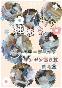 園芸療法