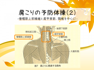 スライド1